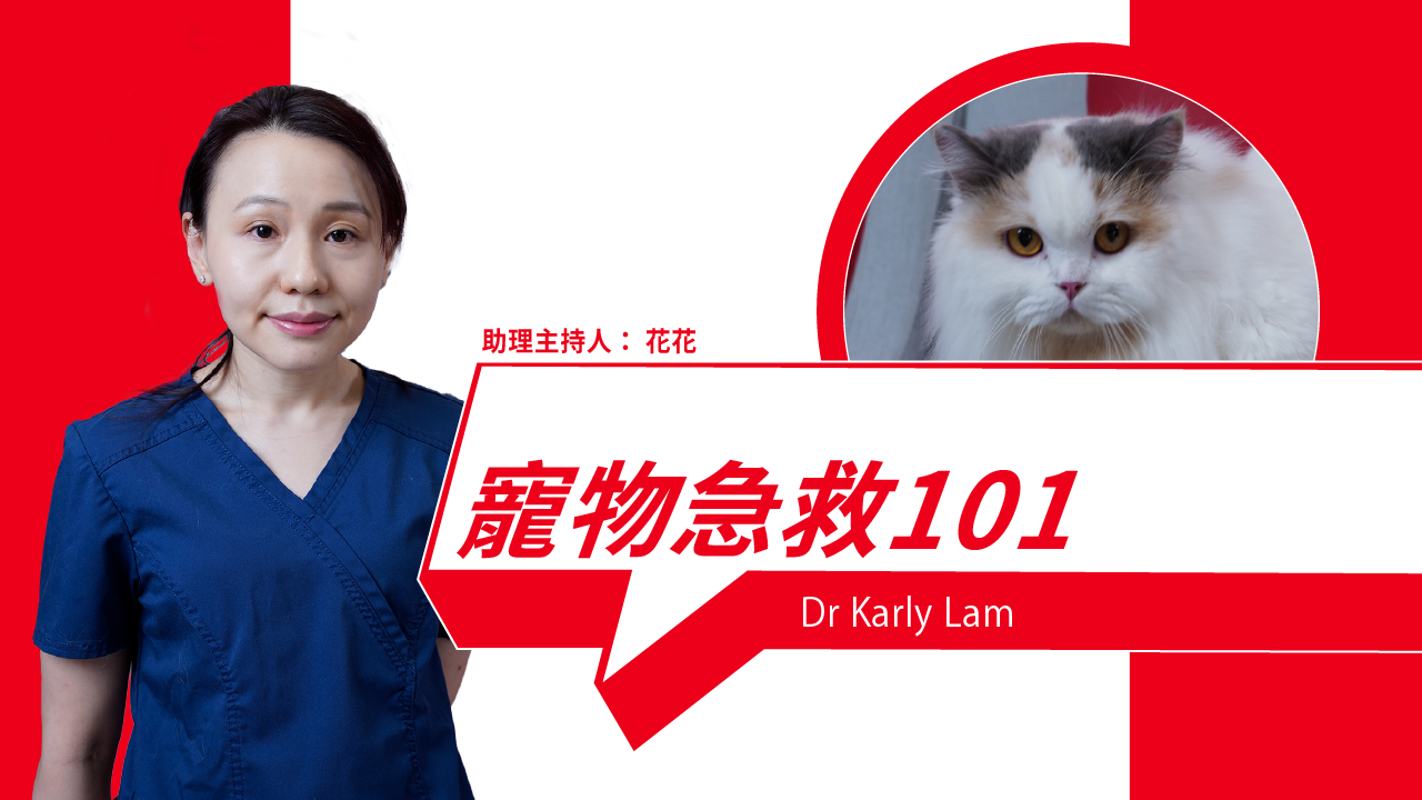 Pet Emergency Response Guide